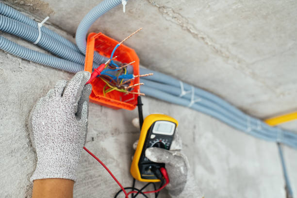 Best Licensed Electrician  in Lake Wynonah, PA